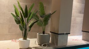 fiber saksı ve plastik saksı farkı