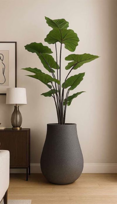 Alternative view of Fiber saksı Hola