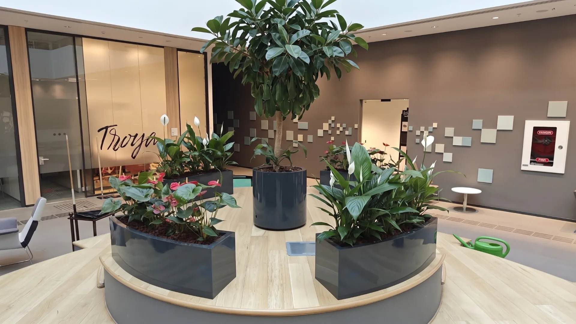 Ofis lobisinde antrasit fiber saksılarda spatifilyum, antoryum ve ficus ağacı